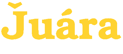 Juara Foundation logo